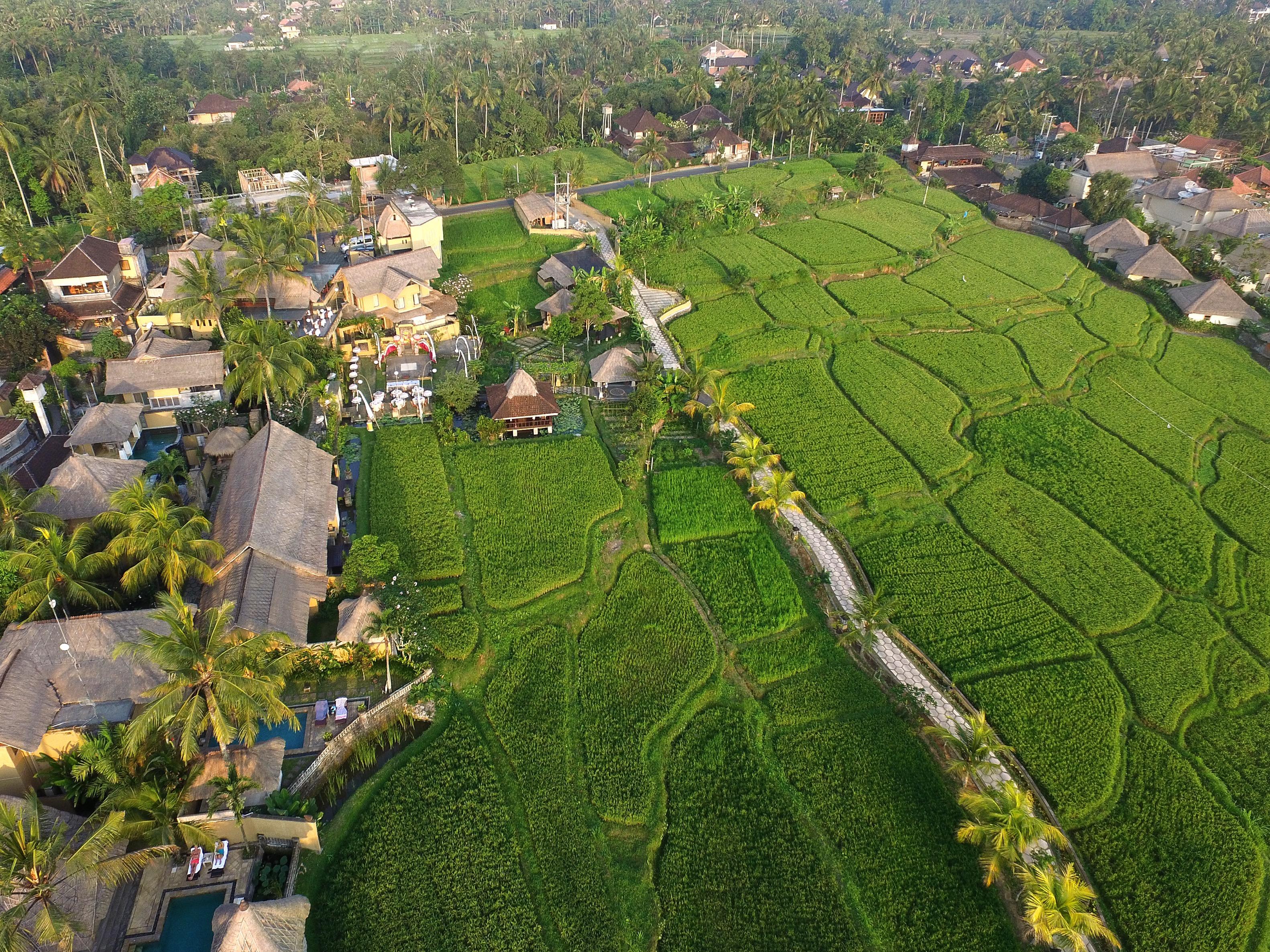 Wapa Di Ume Ubud Buitenkant foto