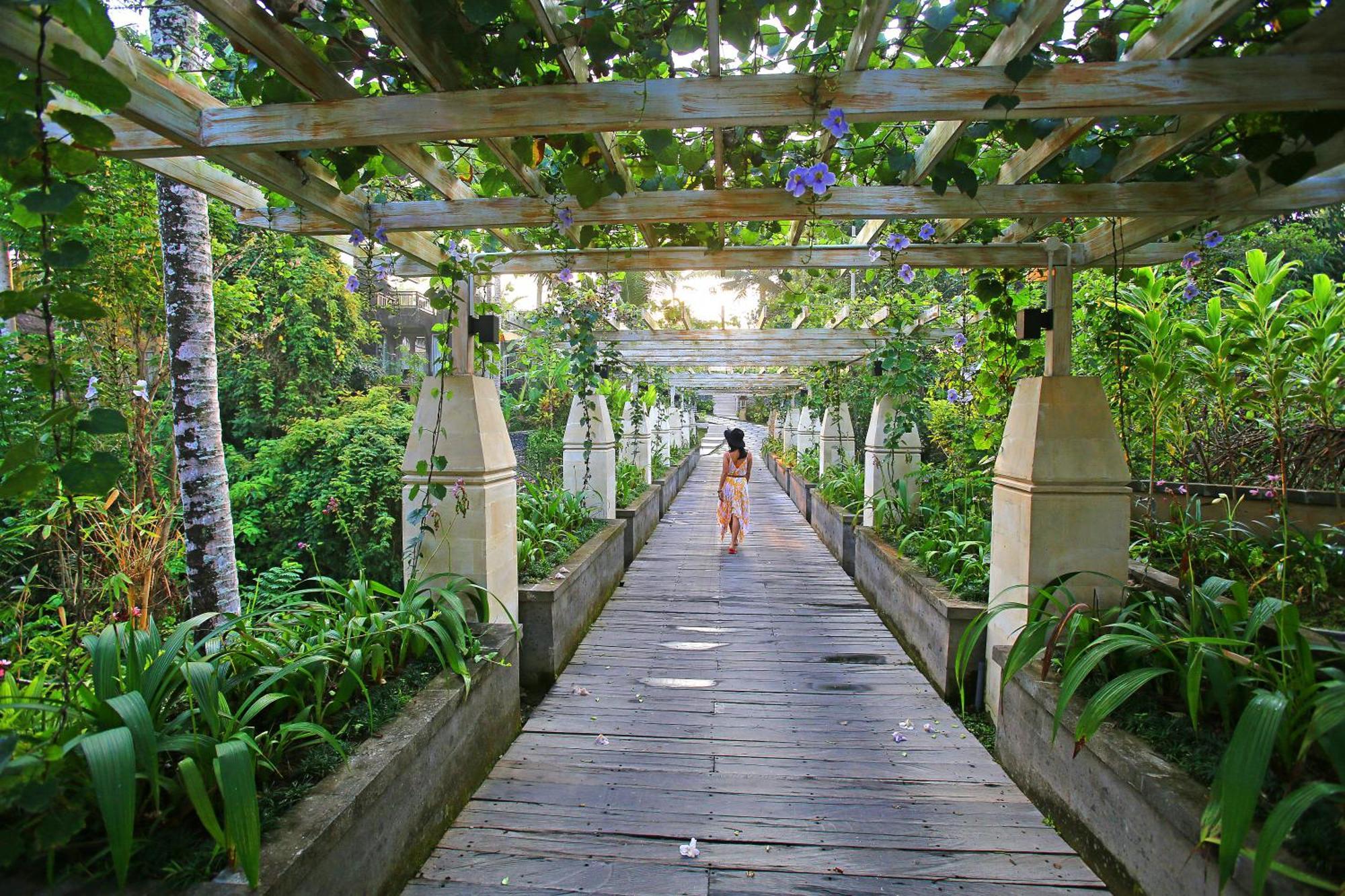 Wapa Di Ume Ubud Buitenkant foto