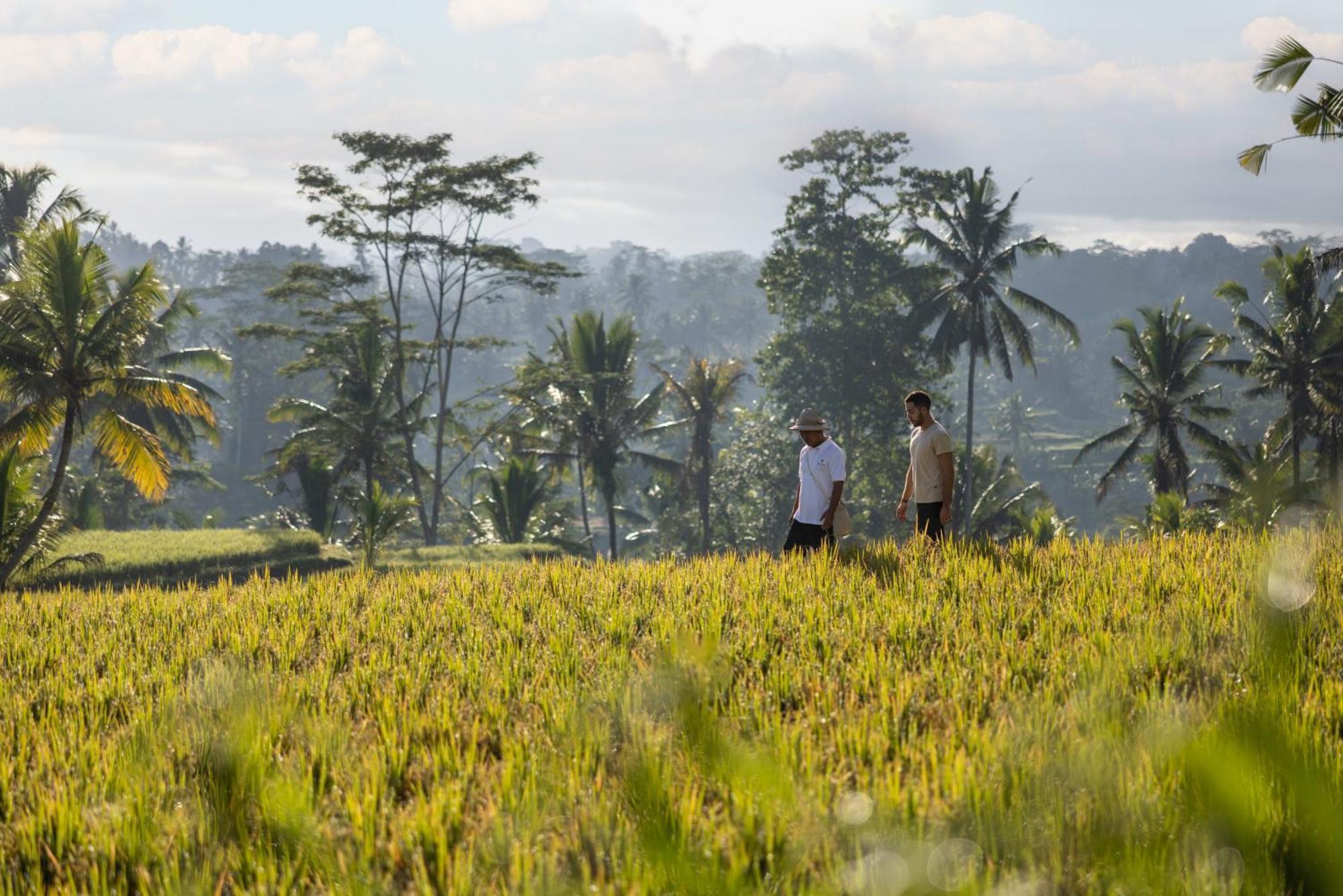 Wapa Di Ume Ubud Buitenkant foto