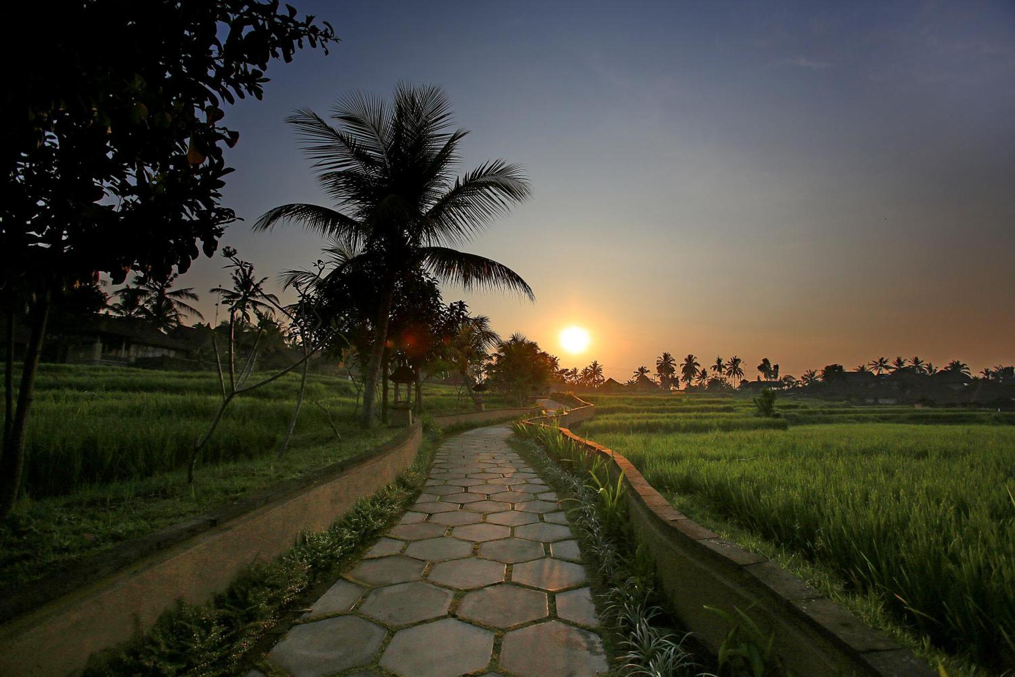 Wapa Di Ume Ubud Buitenkant foto
