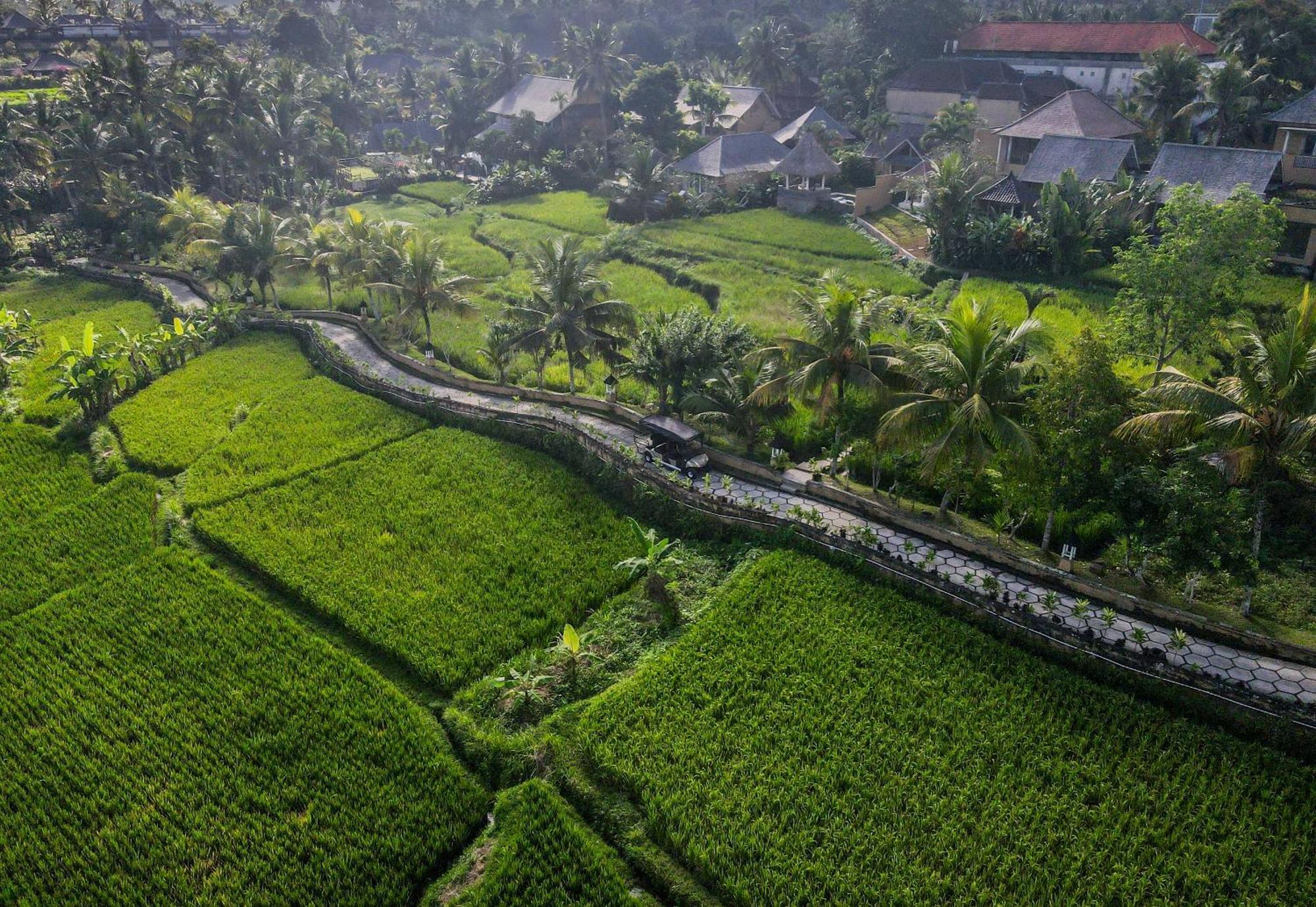 Wapa Di Ume Ubud Buitenkant foto