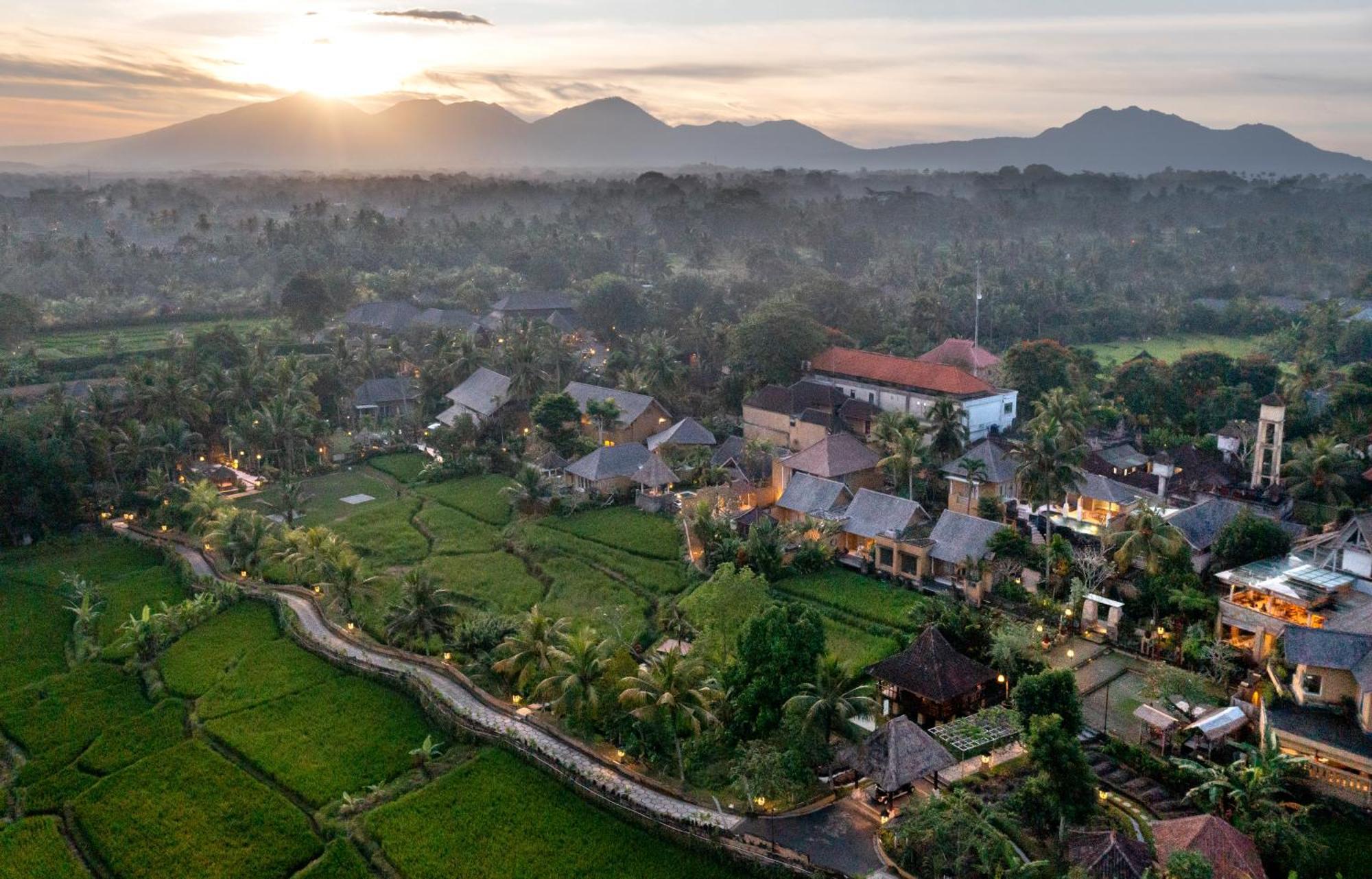 Wapa Di Ume Ubud Buitenkant foto