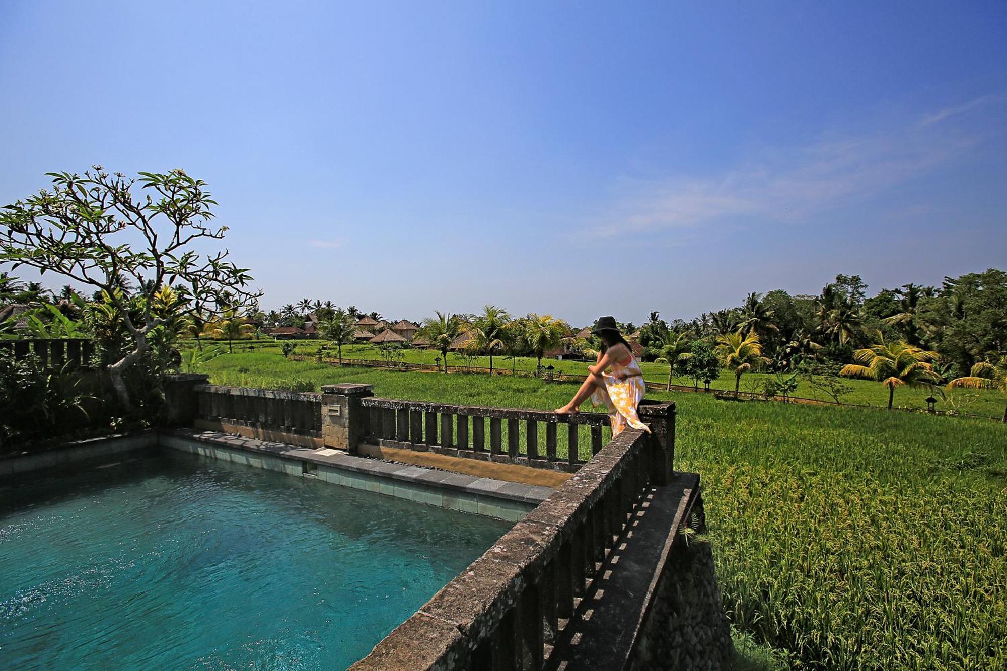 Wapa Di Ume Ubud Buitenkant foto