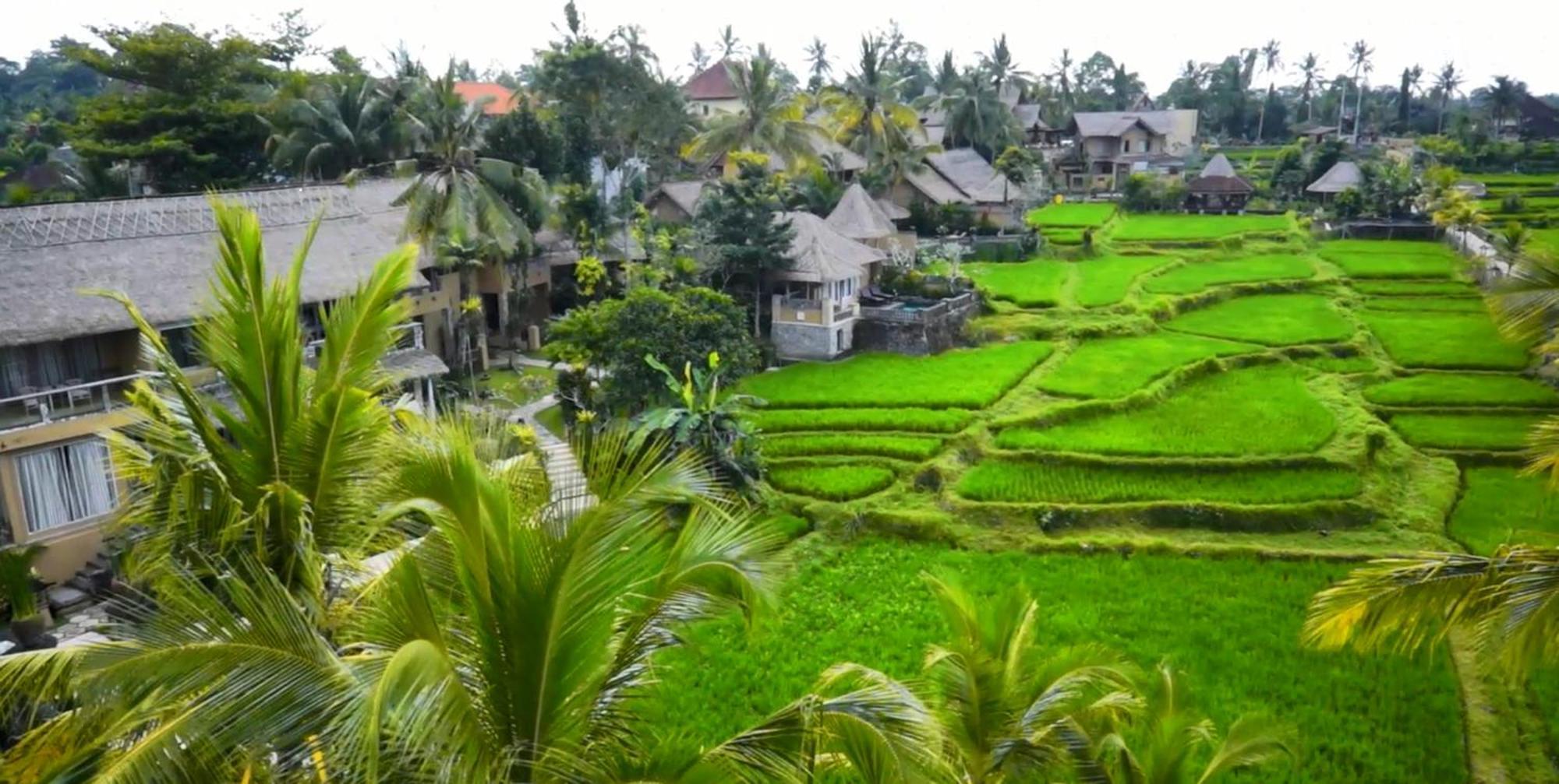 Wapa Di Ume Ubud Buitenkant foto