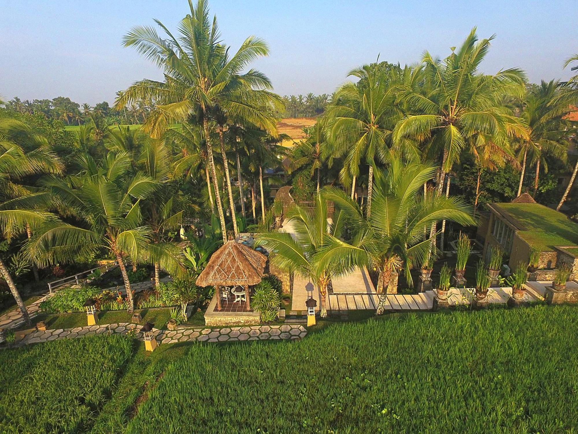 Wapa Di Ume Ubud Buitenkant foto