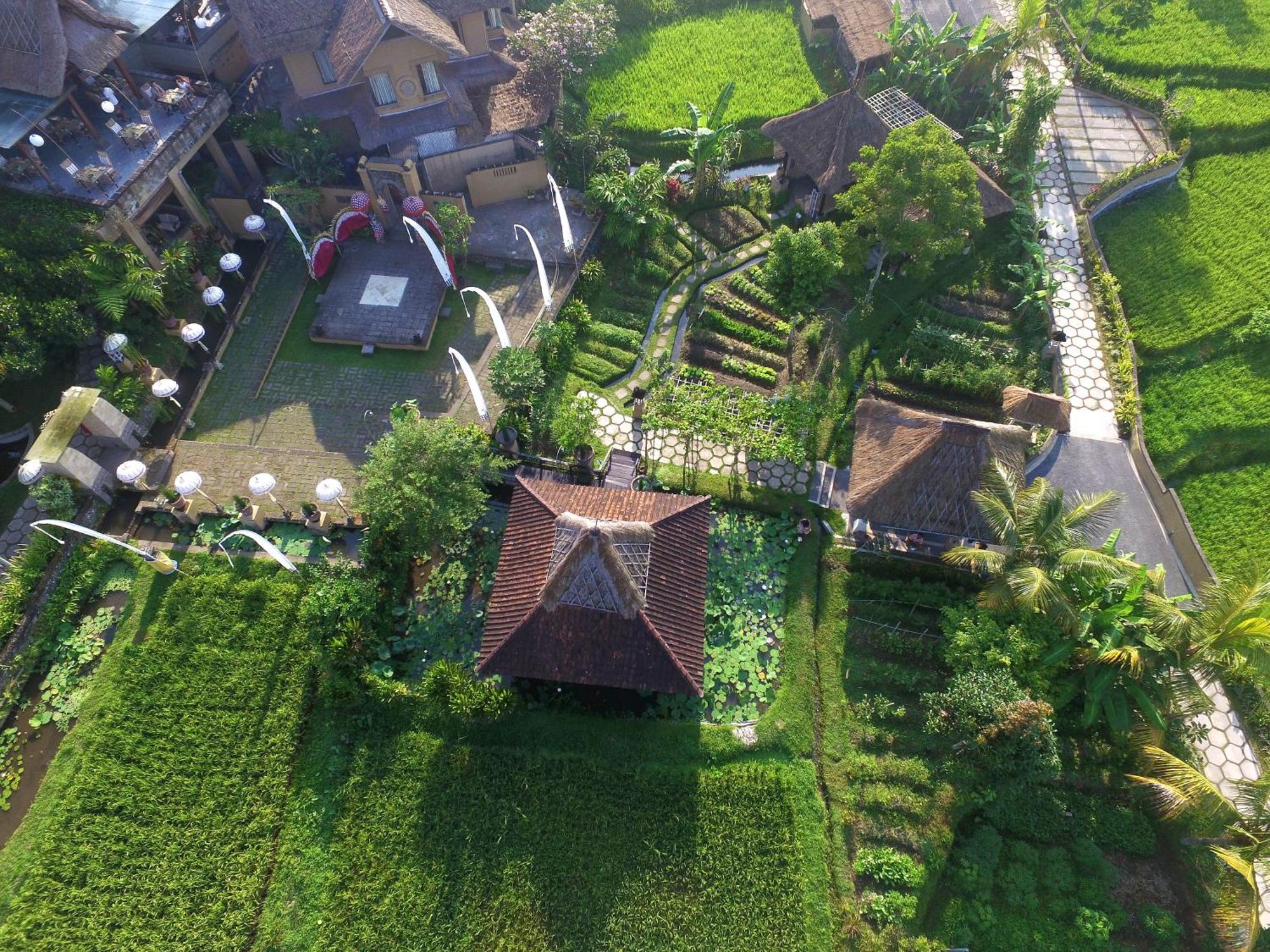 Wapa Di Ume Ubud Buitenkant foto