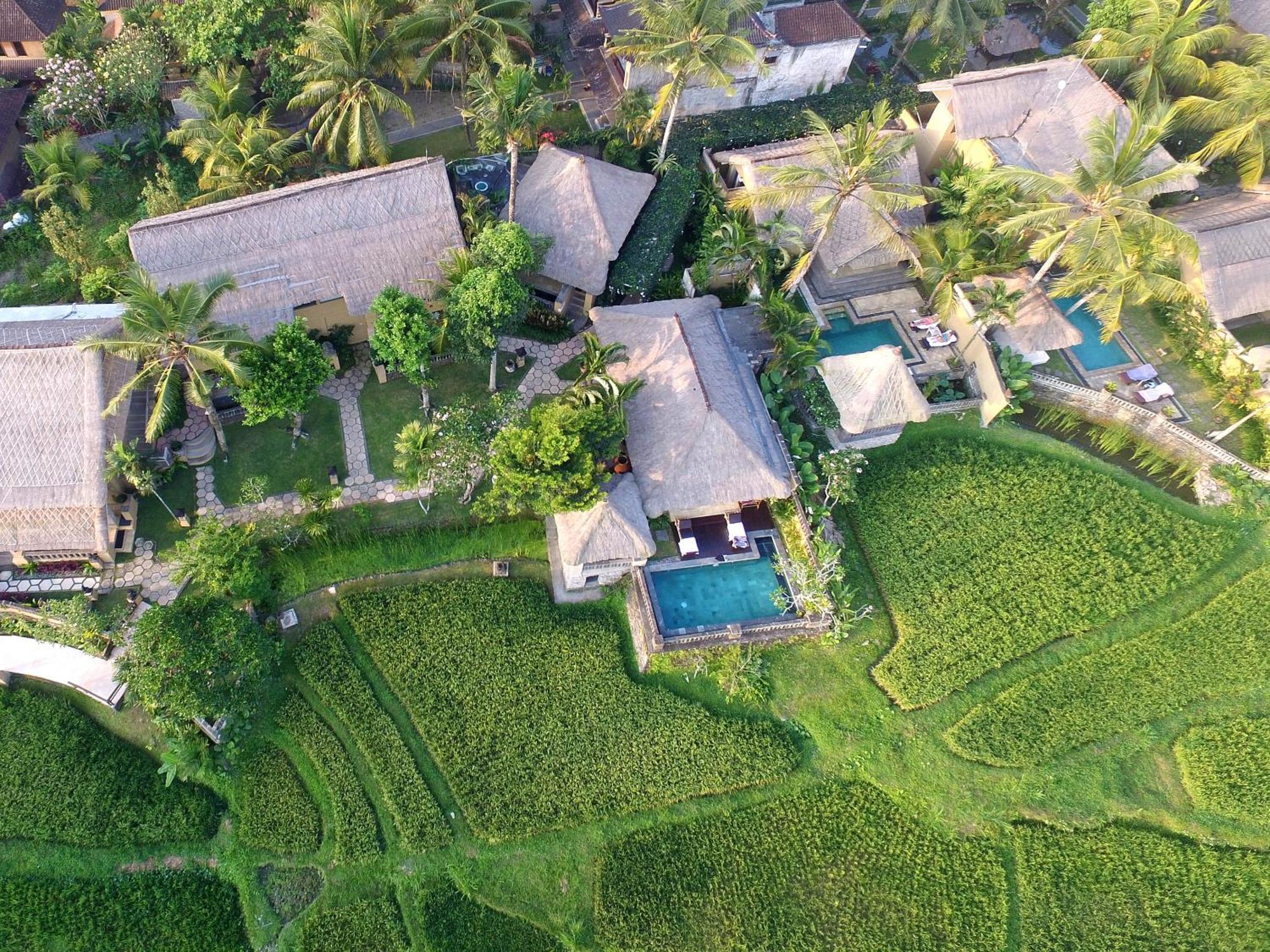 Wapa Di Ume Ubud Buitenkant foto