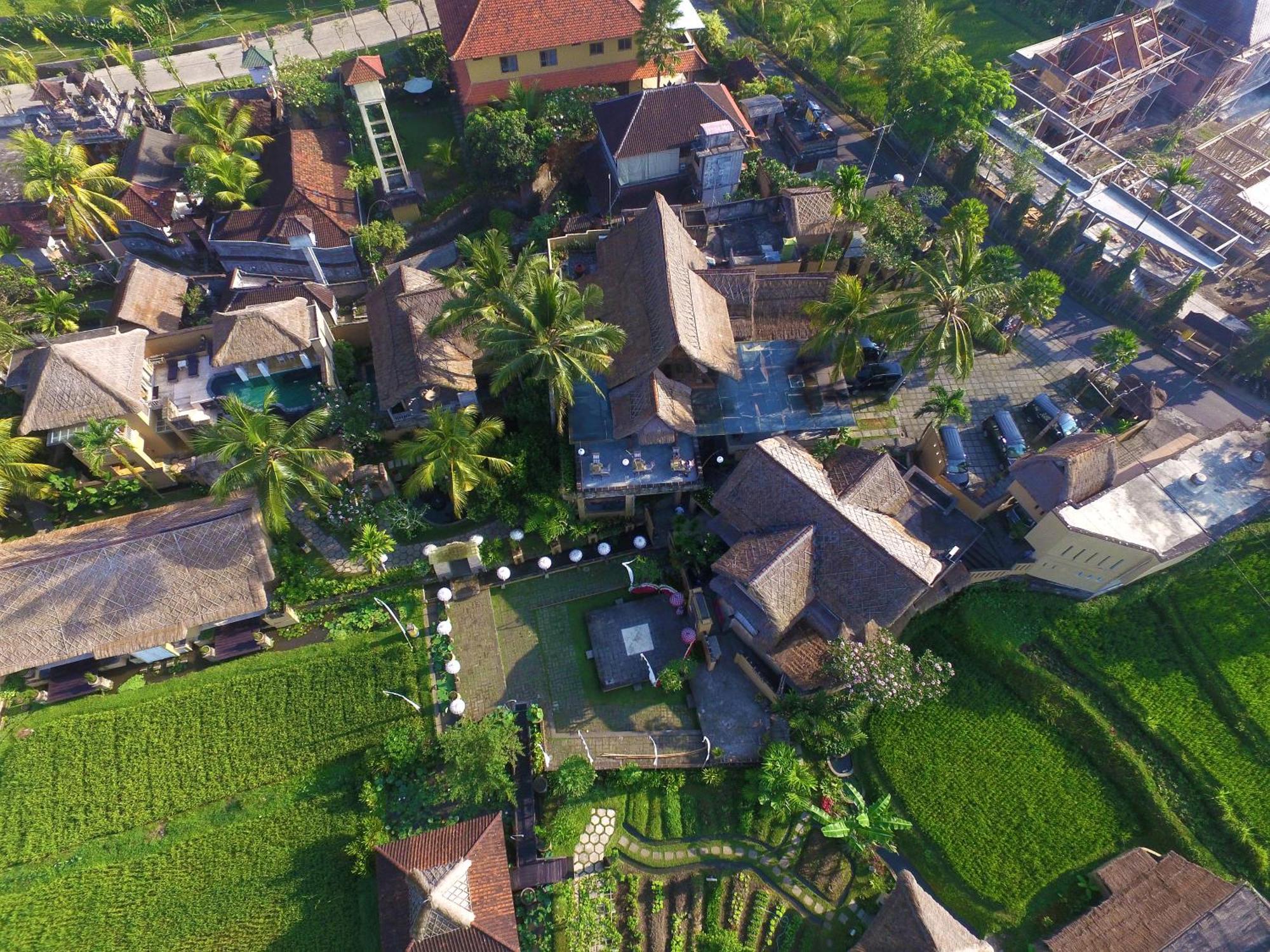 Wapa Di Ume Ubud Buitenkant foto