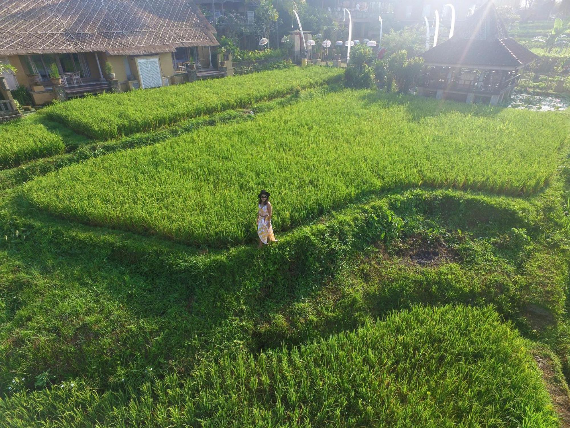 Wapa Di Ume Ubud Buitenkant foto